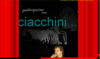 luca maciachini home page